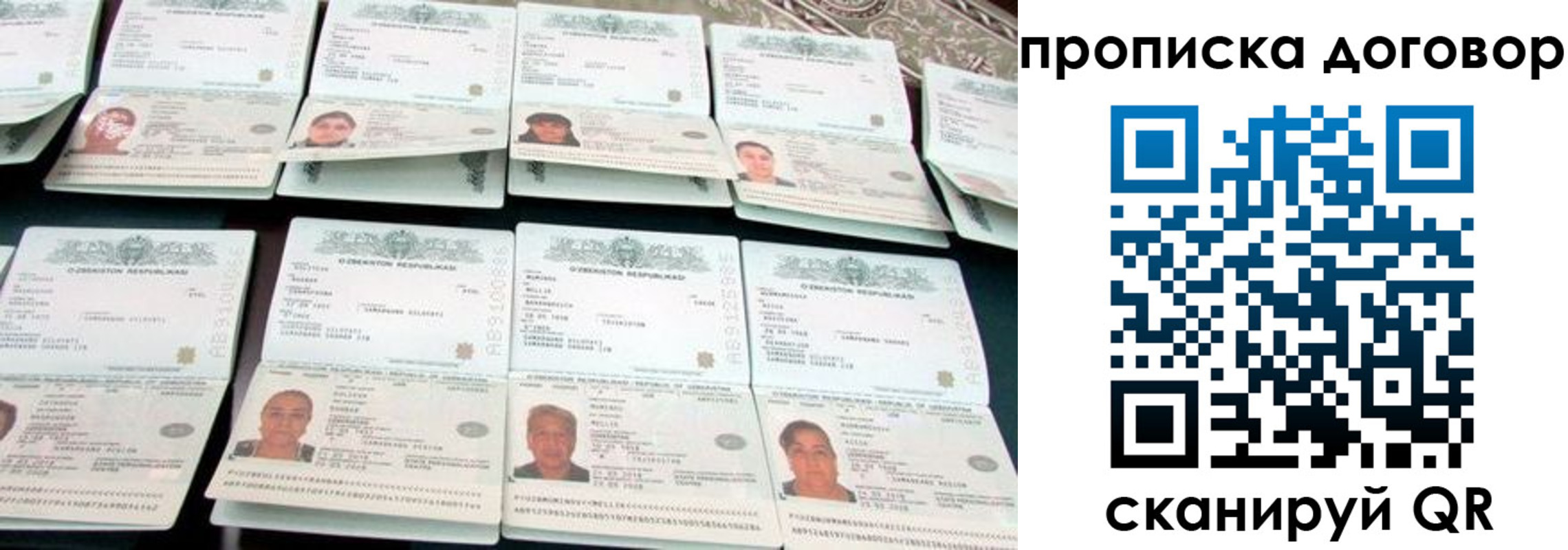 прописка для школы в Кингисеппе